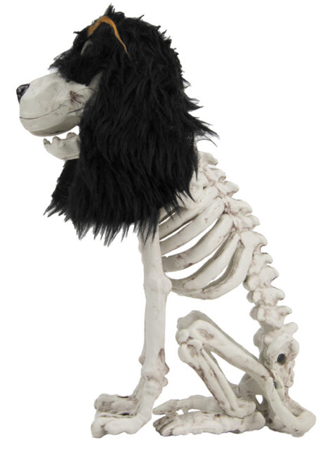 squelette de chien déco Halloween, squelette chien Halloween, Squelette de Chien Rock’n’Roll