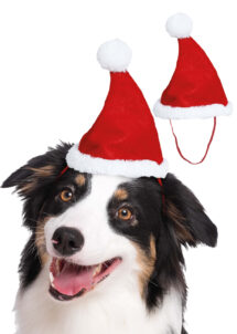 BONNET-DE-NOEL-POUR-CHIEN-bonnet Père Noël pour chien
