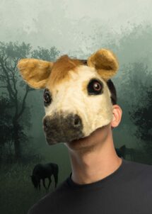 Masque de Cheval, masque cheval fourrure, masque cheval demi visage