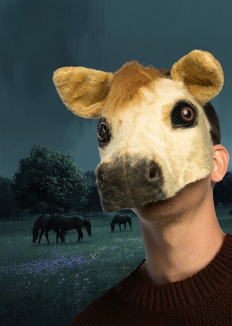 Masque de Cheval, masque cheval fourrure, masque cheval demi visage, Masque de Cheval en Fourrure, Demi Visage