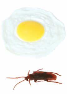 oeuf sur le plat farce et attrape, faux oeuf farce et attrape